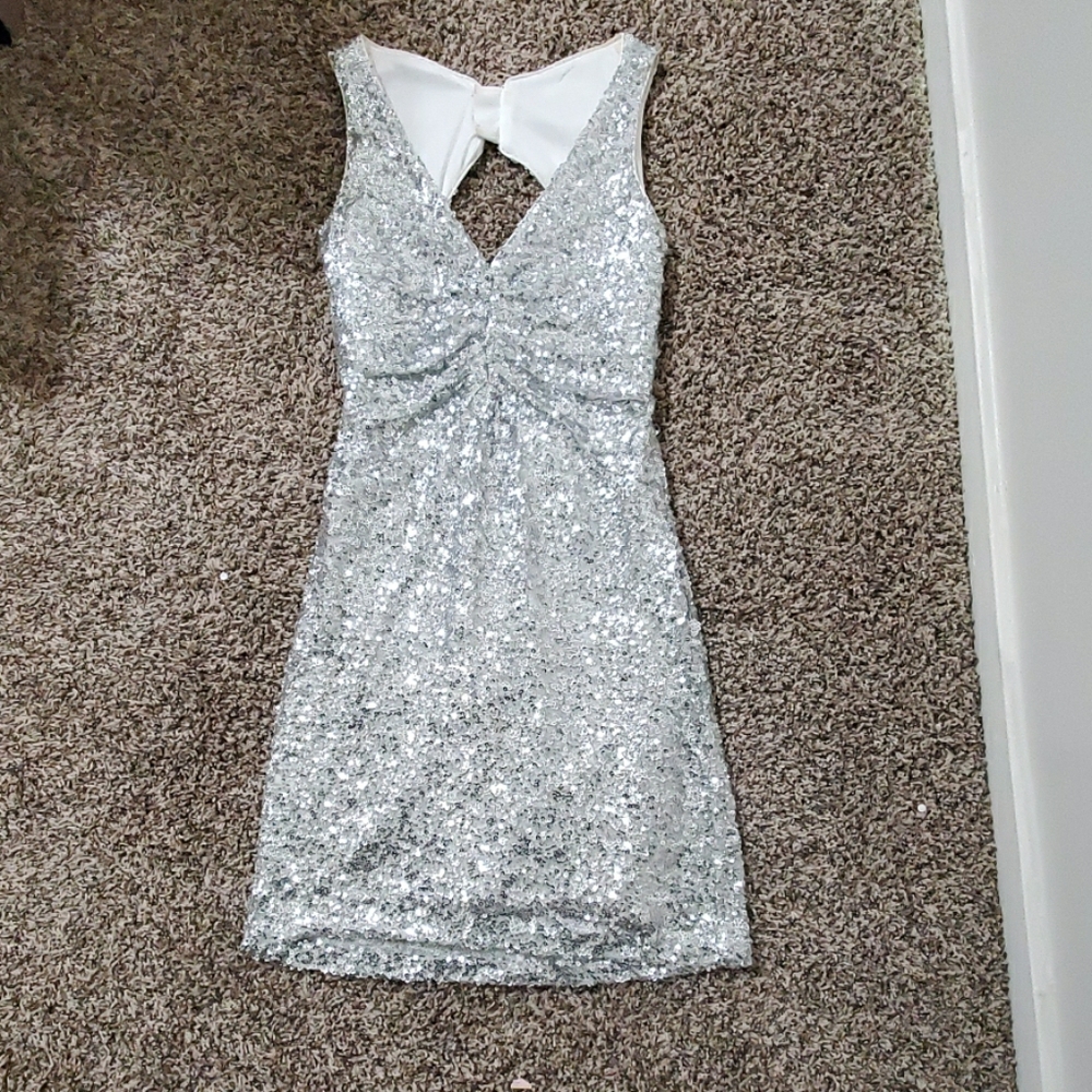 Silver Sequin Dress
